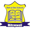 Bab-Ul-Ilm Schools